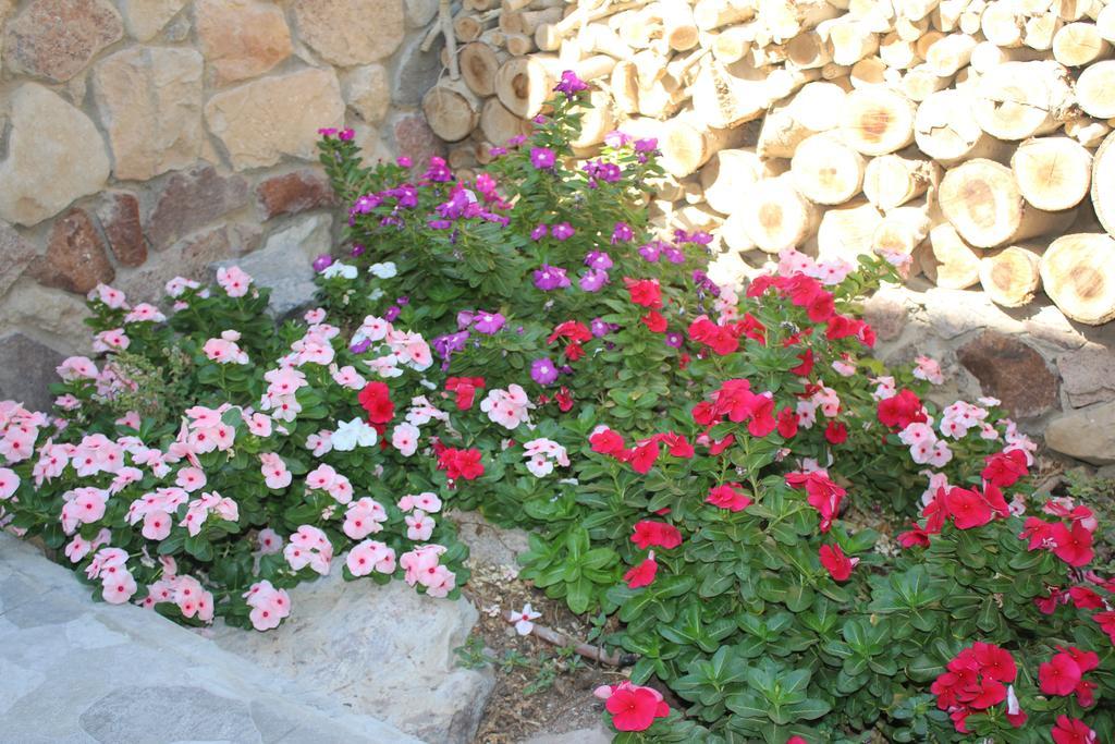 Modern&Quiet Place Eilat Exterior foto